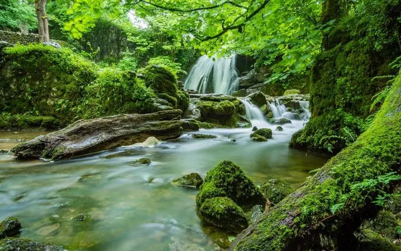 科技高端